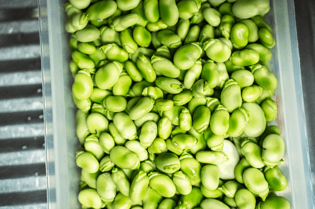 Le Komptoir des Amis