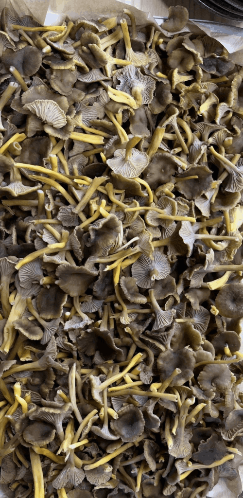 Le Komptoir des Amis