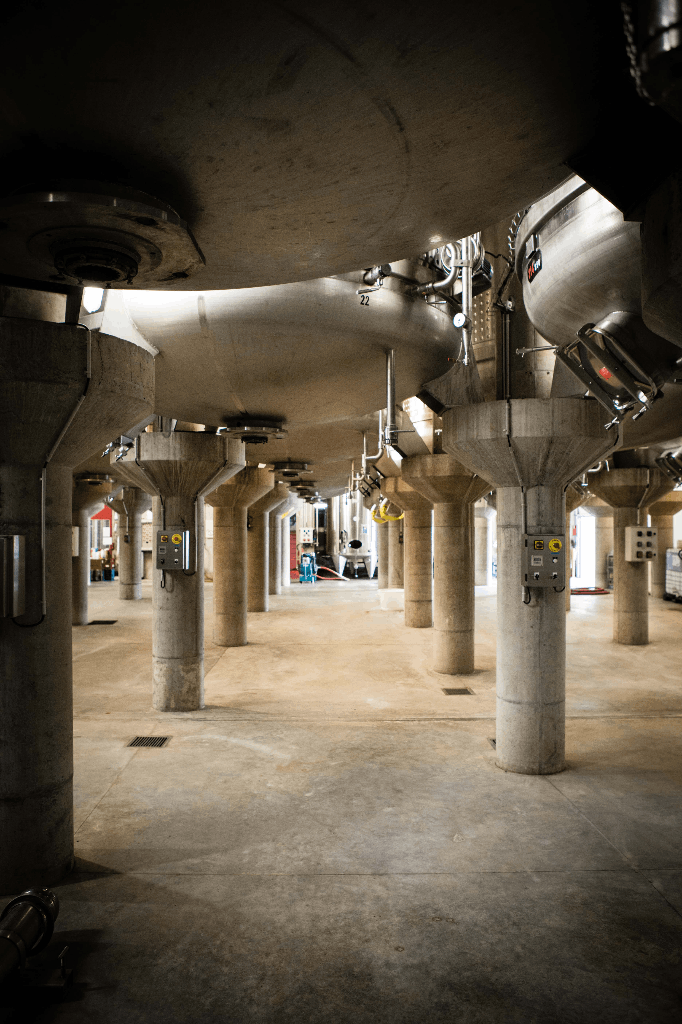 Cave de Vacqueyras - Rhonéa