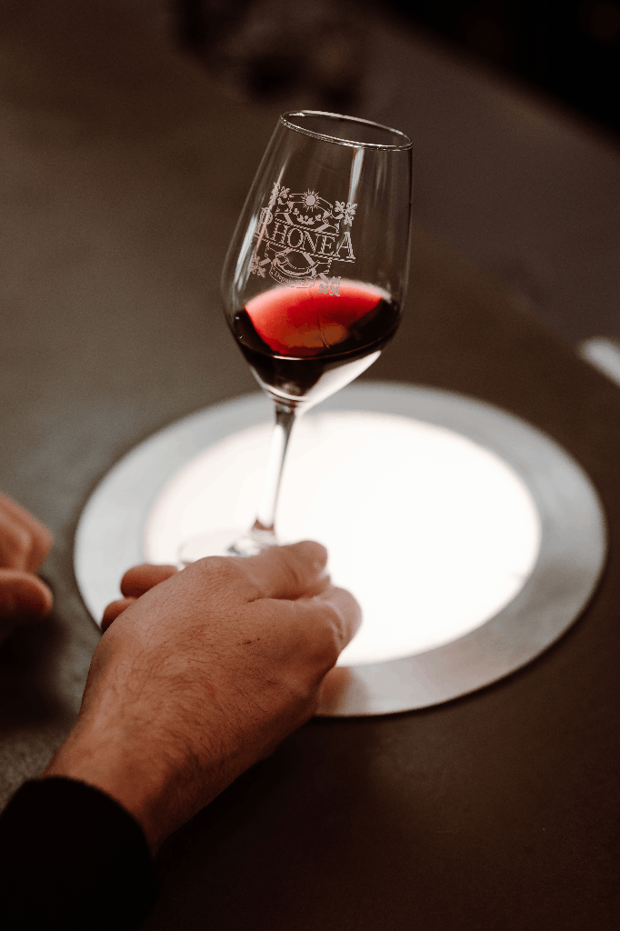 Cave de Vacqueyras - Rhonéa